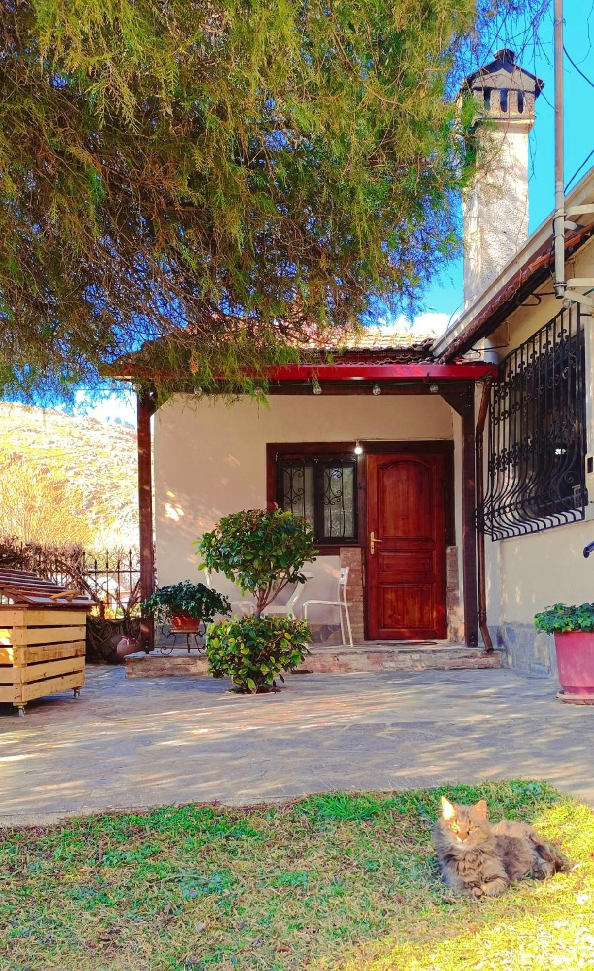 Το Πέτρινο Σπιτάκι Apartment Tríkala Exterior foto